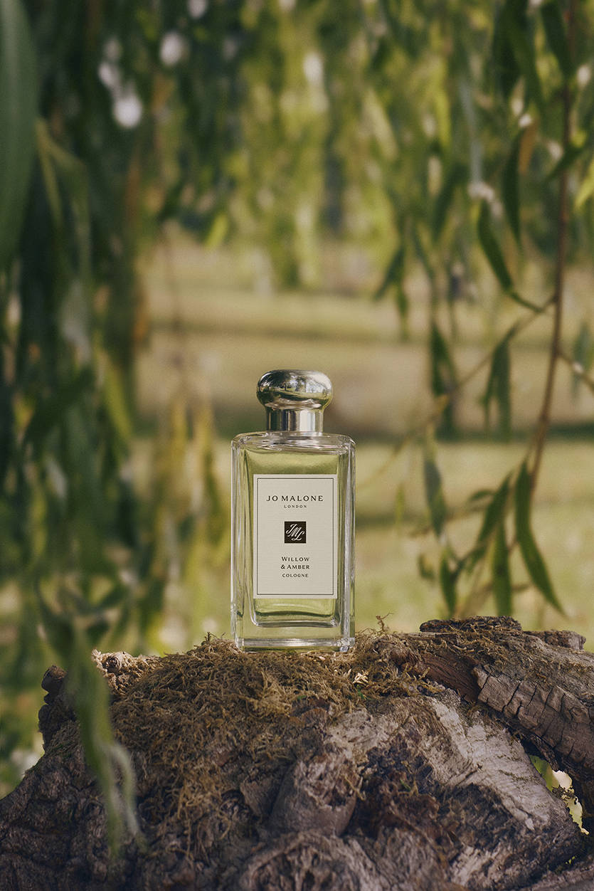 祖·玛珑春日限定「柳叶与琥珀」香氛新品上市